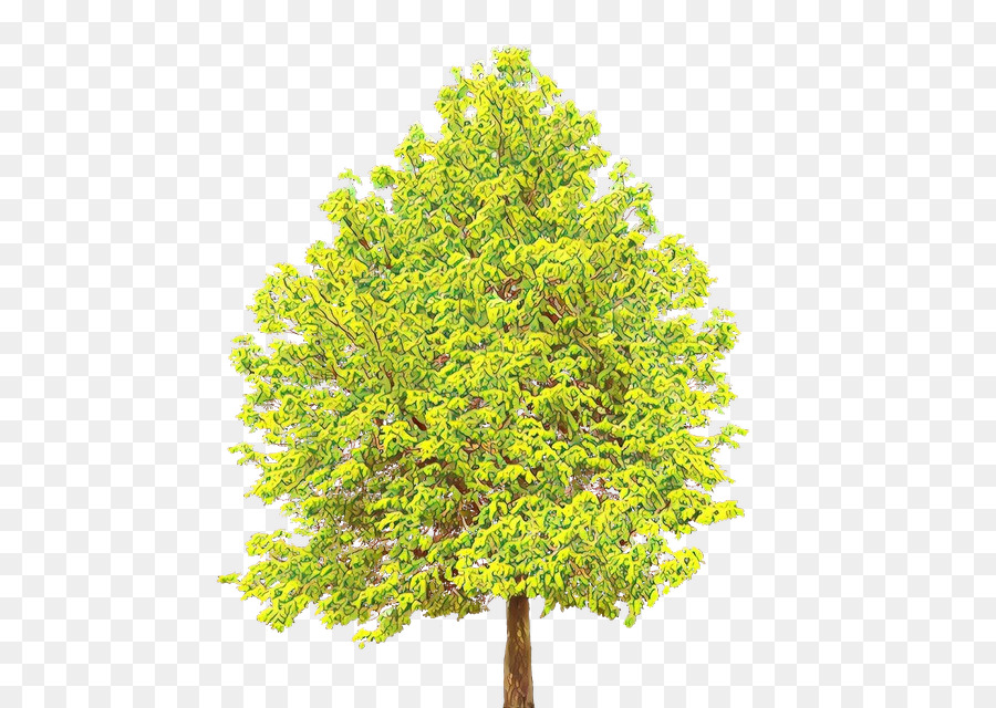 Arbre，Usine PNG