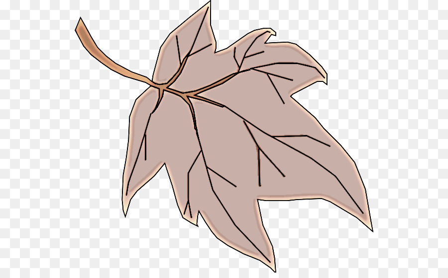 Feuilles Violettes，Botanique PNG