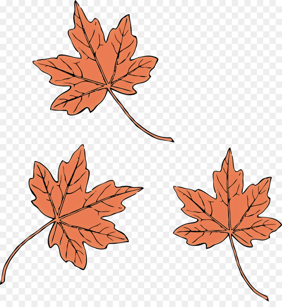 Feuilles D'érable，Automne PNG