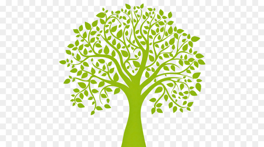 Arbre Vert，Feuilles PNG