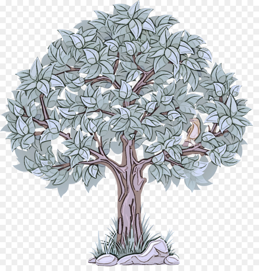 Arbre，Plante PNG