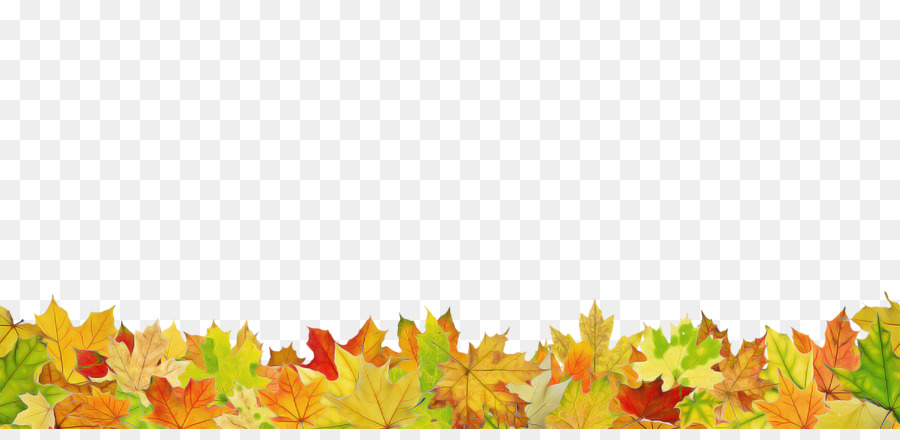 Feuilles D'automne，Automne PNG