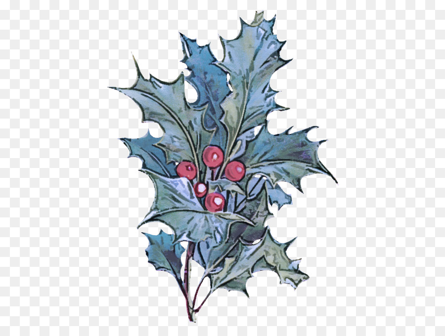 Houx，Feuille PNG