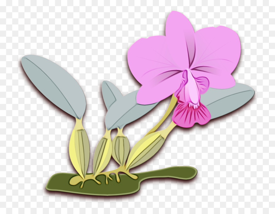 Fleur D'orchidée，Violet PNG