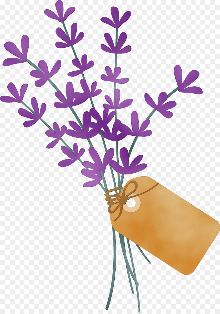 Fleur，Plante PNG