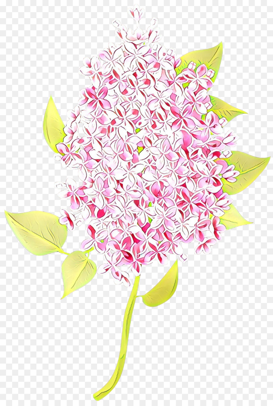 Rose，Fleur PNG