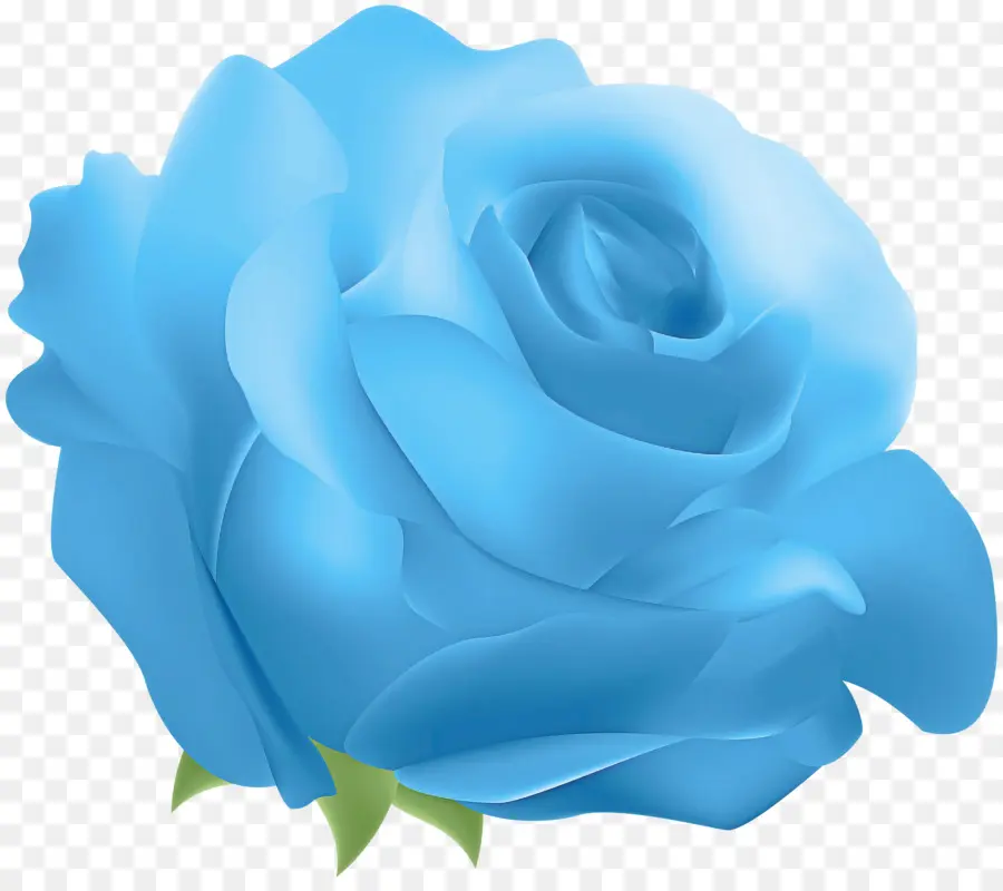 Rose，Bleu PNG