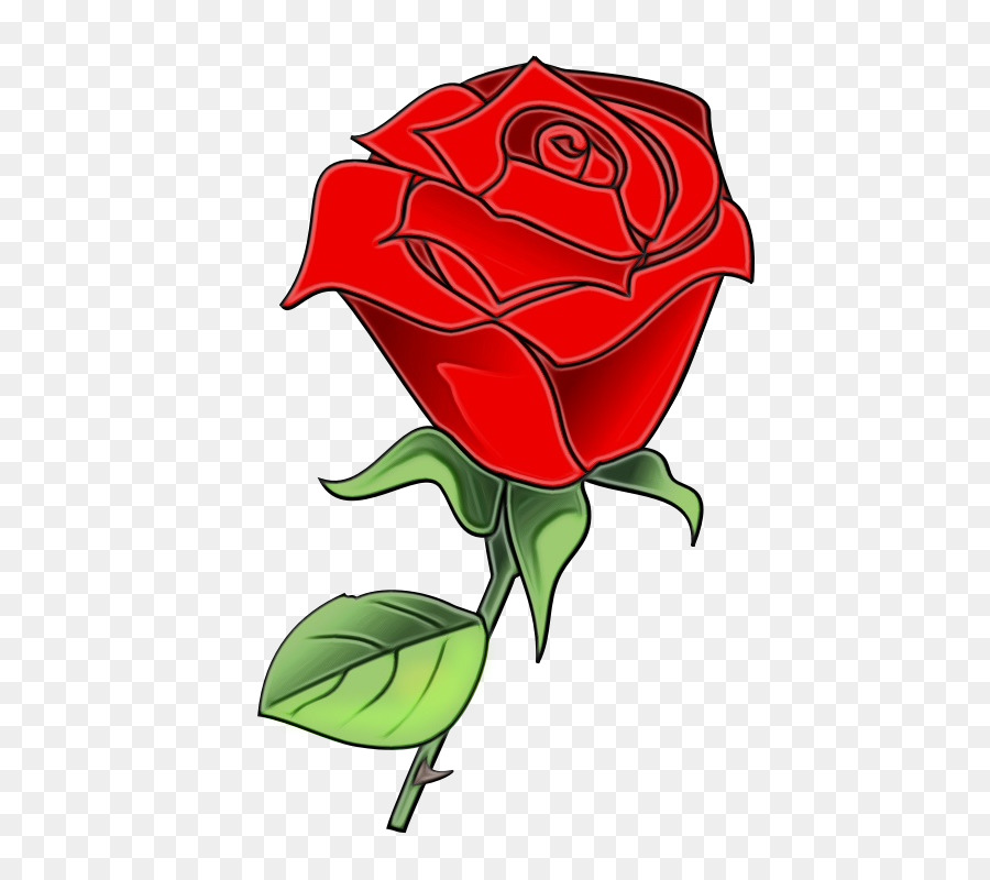 Rose，Rouge PNG