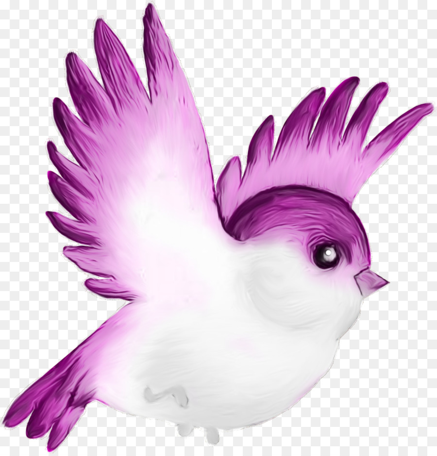 Oiseau，Bleu PNG