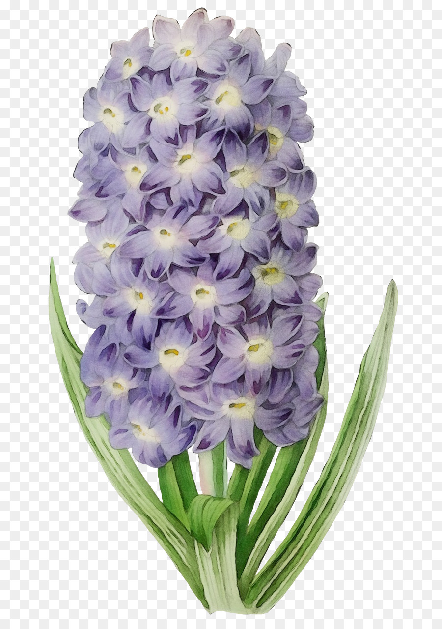 Fleurs Violettes，Fleurir PNG