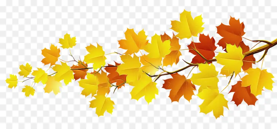 Feuilles D'automne，Automne PNG