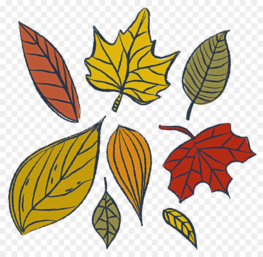 Feuilles，Automne PNG