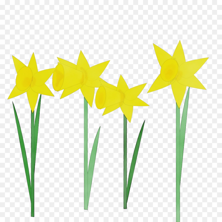 Jaune，Plante PNG