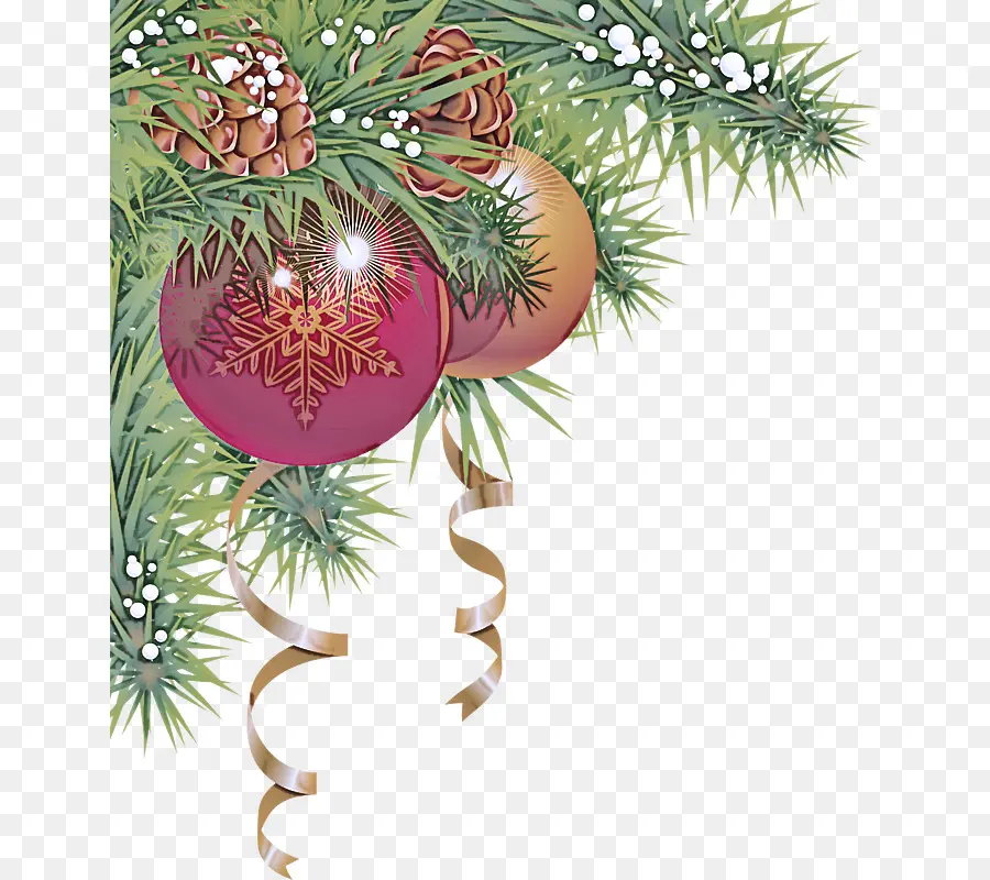 Pin De L'oregon，Décoration De Noël PNG