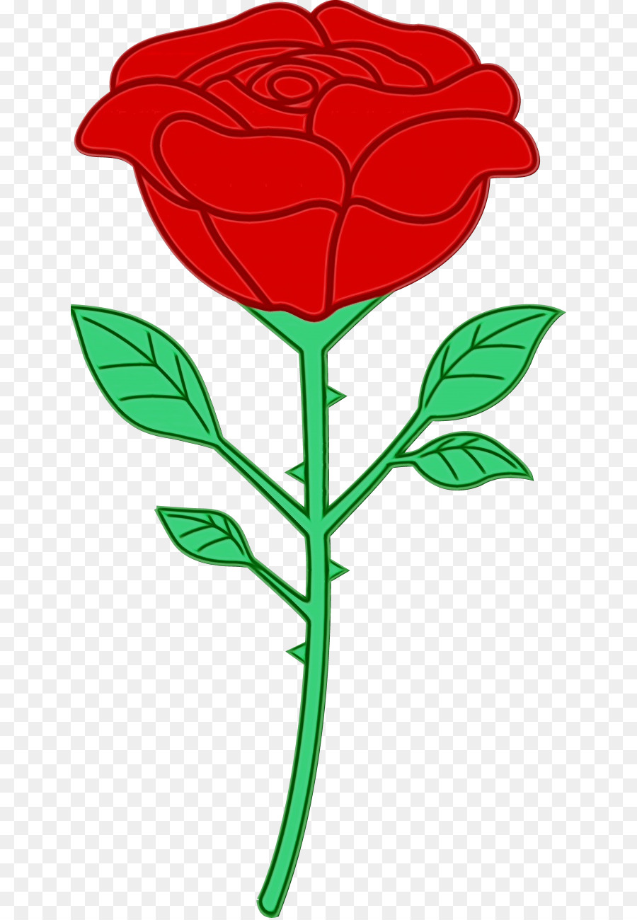 Rose，Rouge PNG