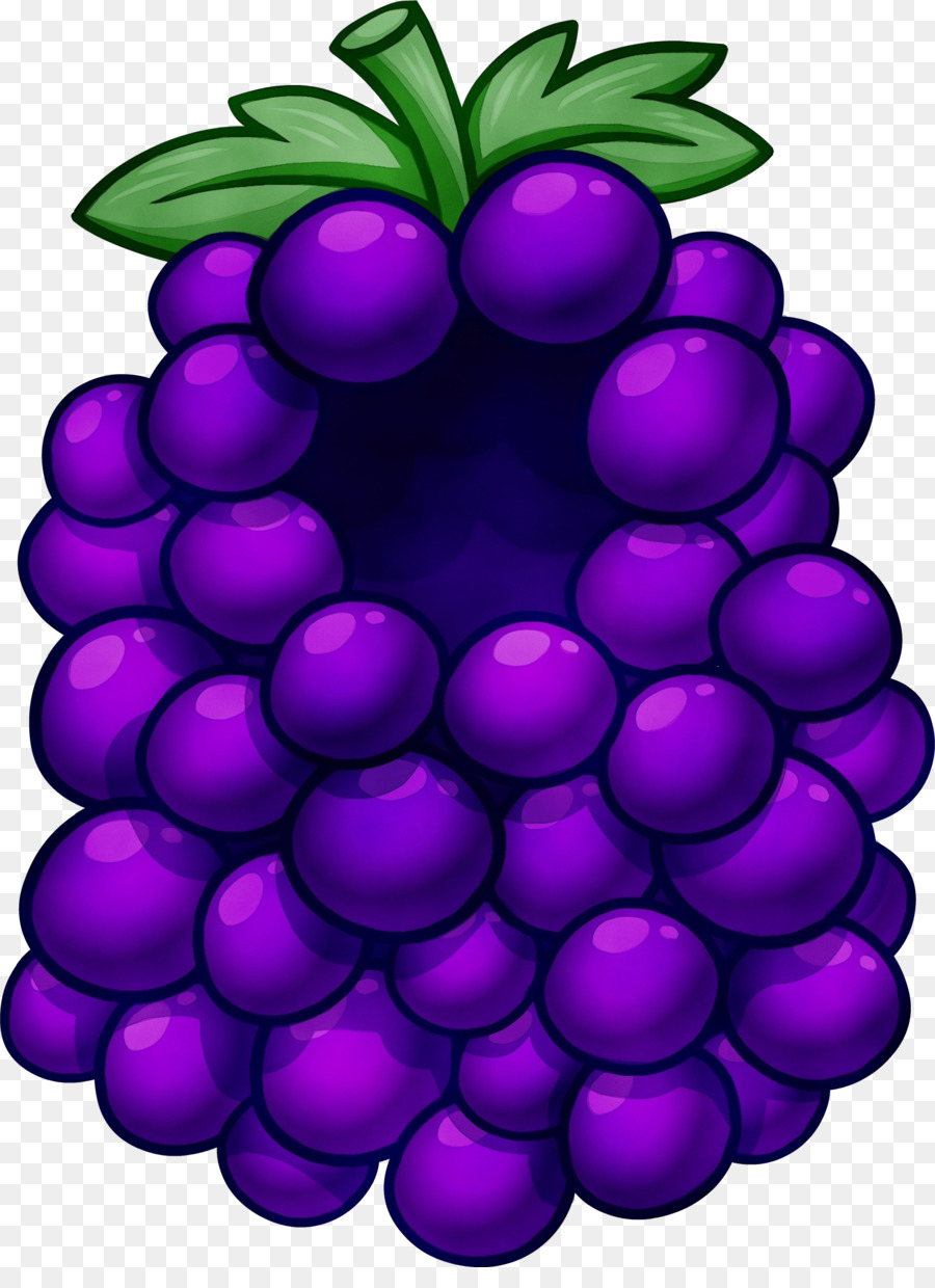 Raisins，Violet PNG