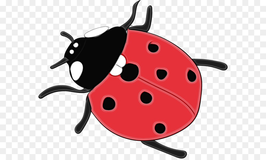 Coccinelle，Bogue PNG