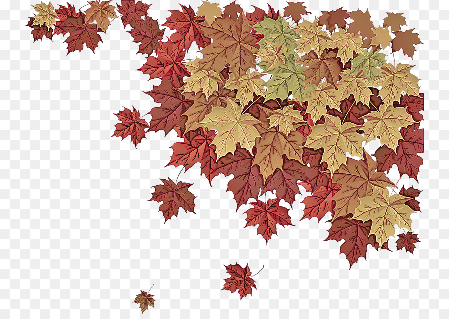 Feuilles D'automne，Automne PNG