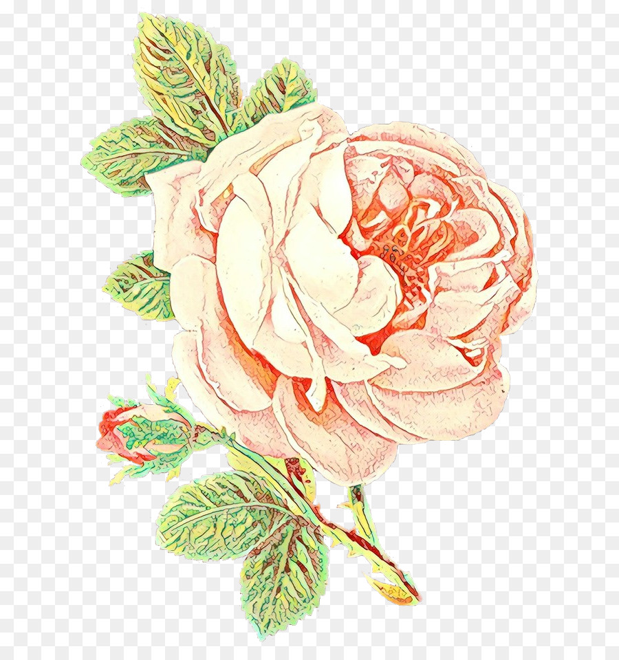 Roses Rouges，Bouquet PNG