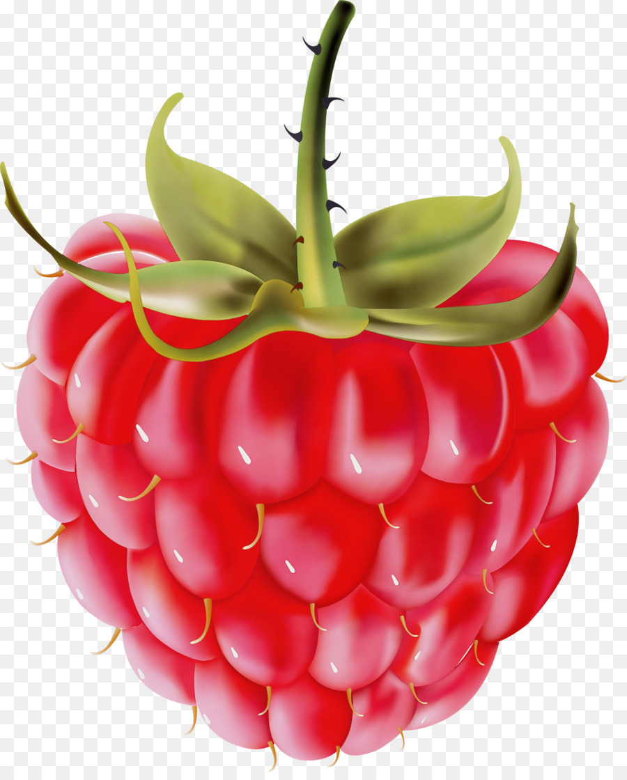 Aliments Naturels，Fruit PNG