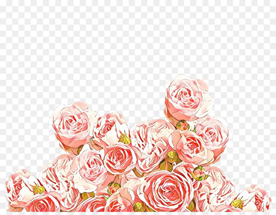 Rose，Roses De Jardin PNG