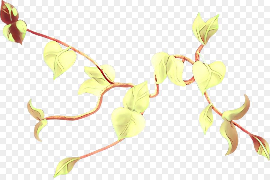 Plante，Feuille PNG