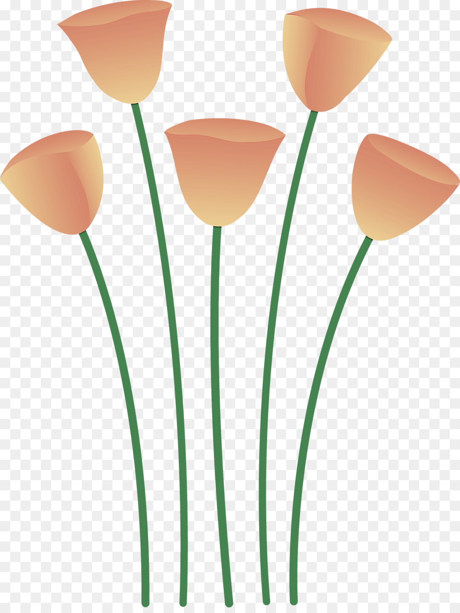 Tulipe，Orange PNG