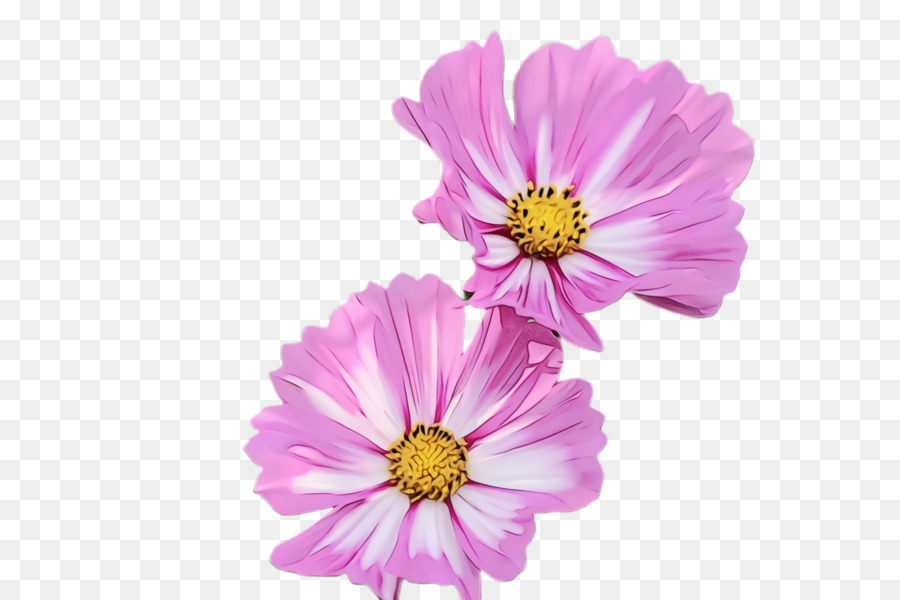 Fleurs Violettes，Feuilles PNG