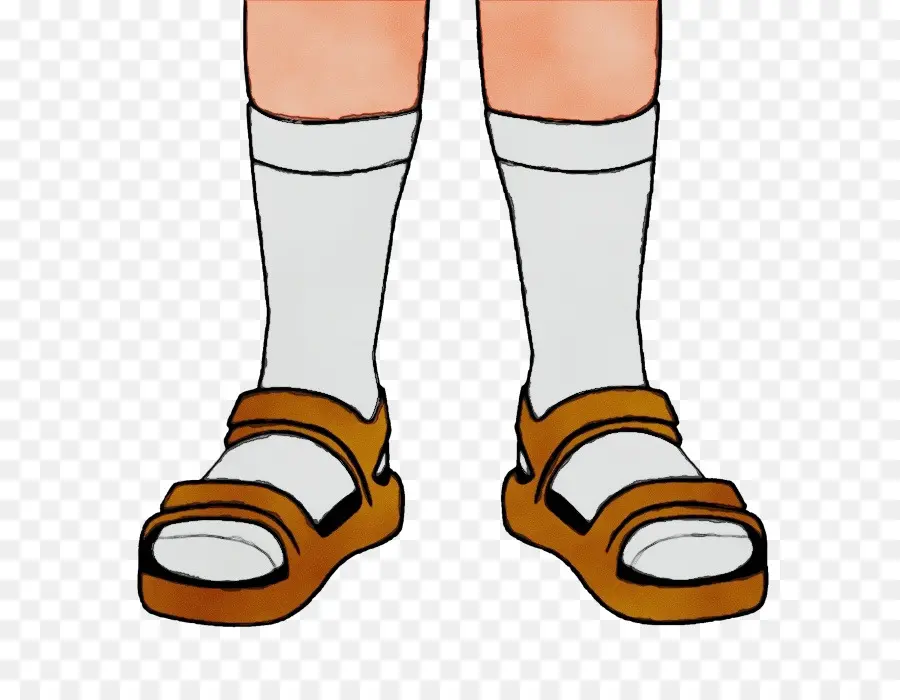 Sandales Et Chaussettes，Pieds PNG