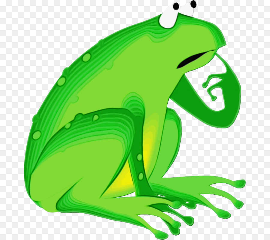 Grenouille Verte De Dessin Animé，Animal PNG