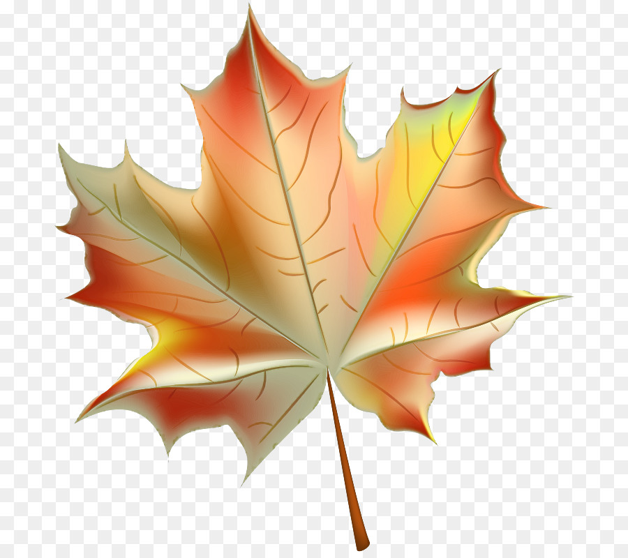 Feuille Rouge，Automne PNG