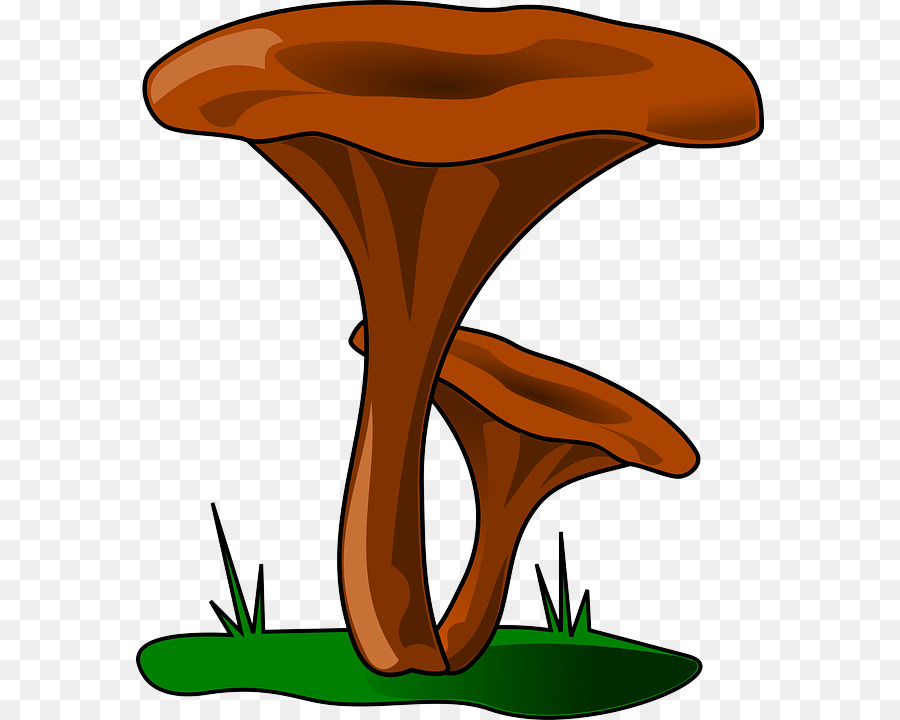 Champignons Bruns，Champignons PNG