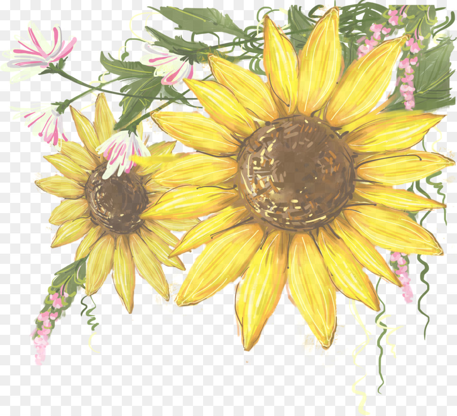 Fleur，Tournesol PNG