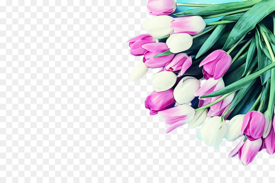 Tulipes Roses，Fleurs PNG