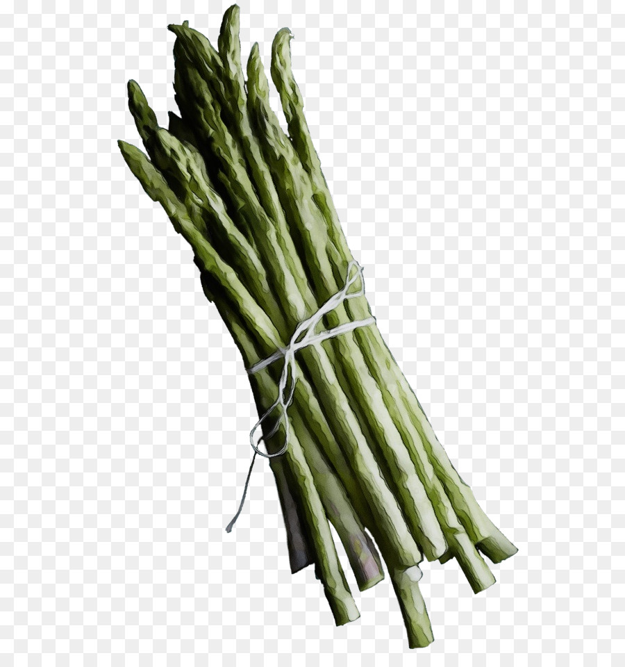 Asperge，Légume PNG