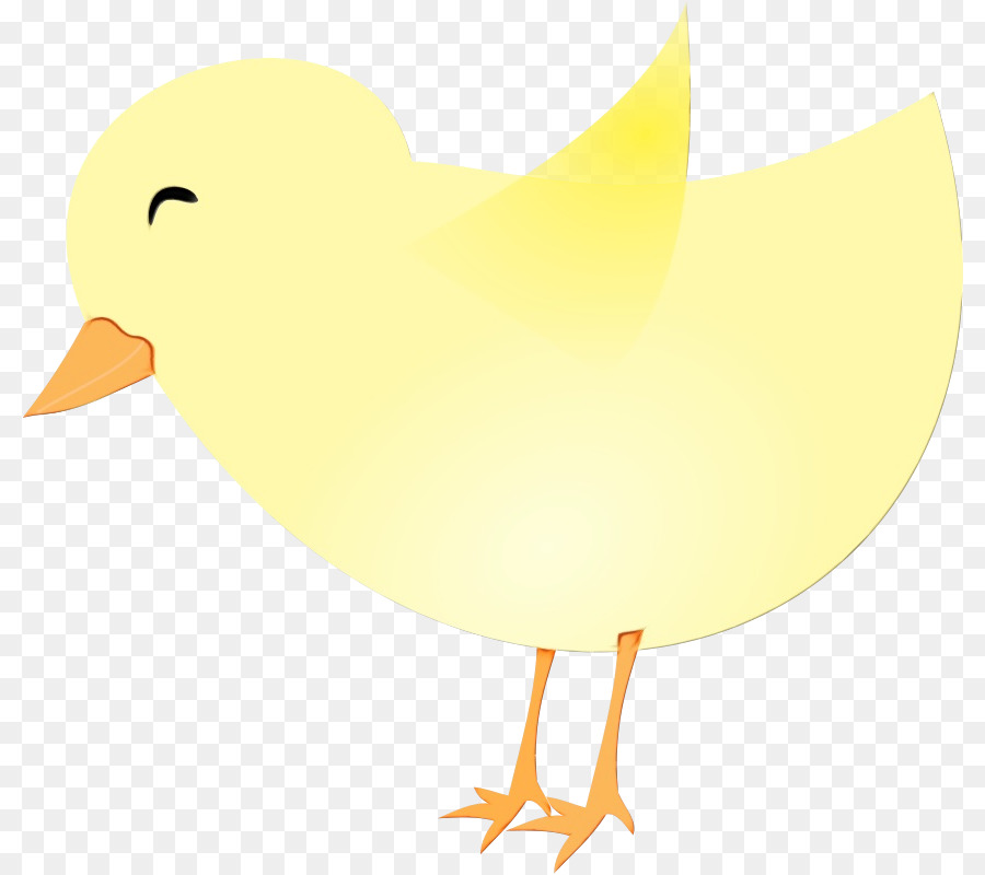 Canard，Oiseau PNG