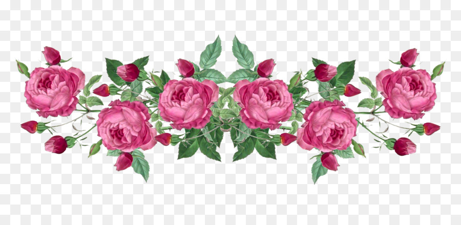 Rose，Roses De Jardin PNG