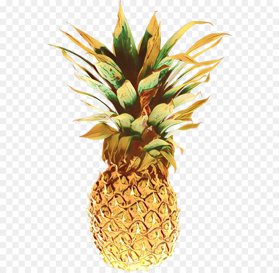 Ananas，Fruit PNG