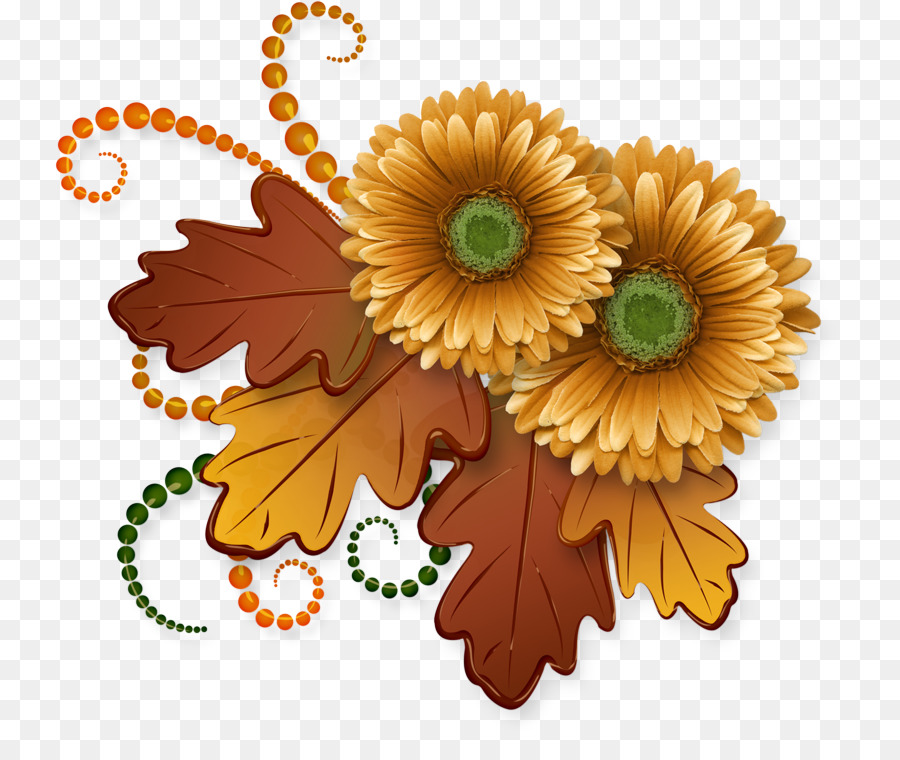 Gerbera，Fleur PNG