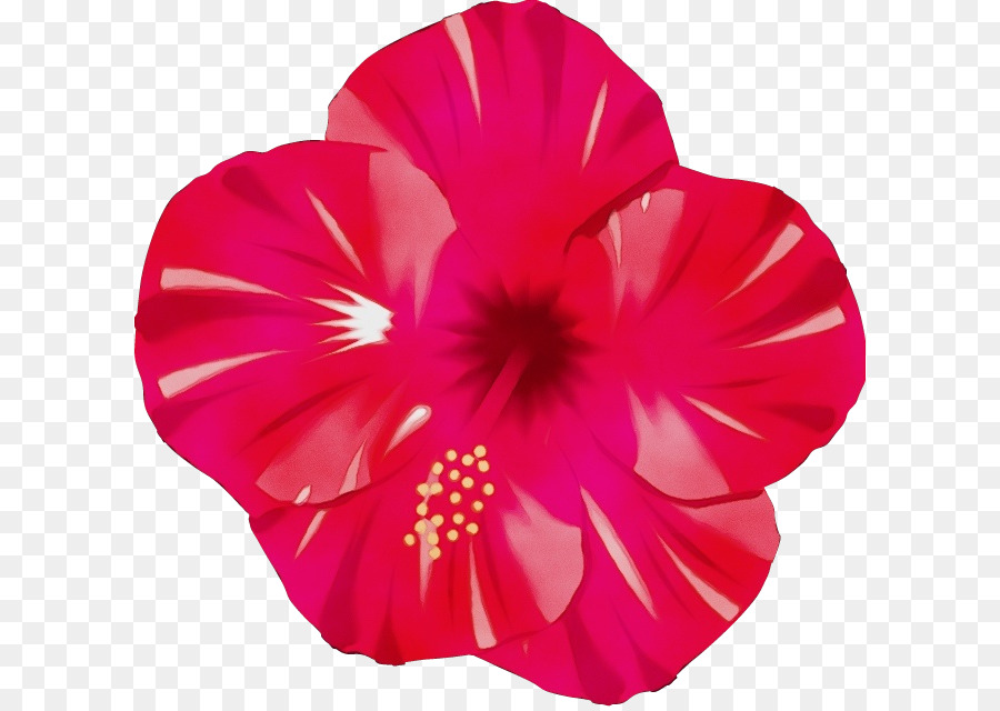 Fleur Rose，Fleurir PNG