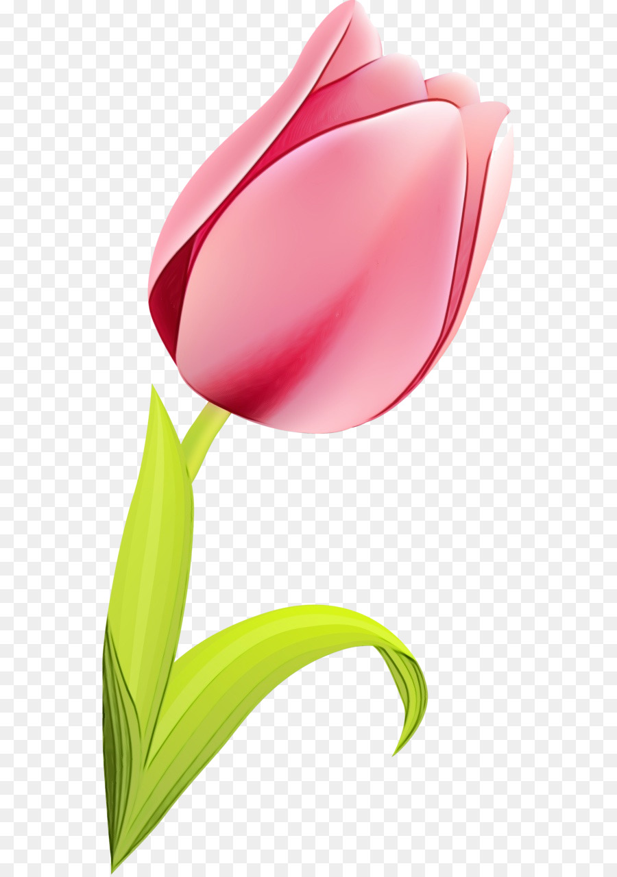 Rose，Tige PNG