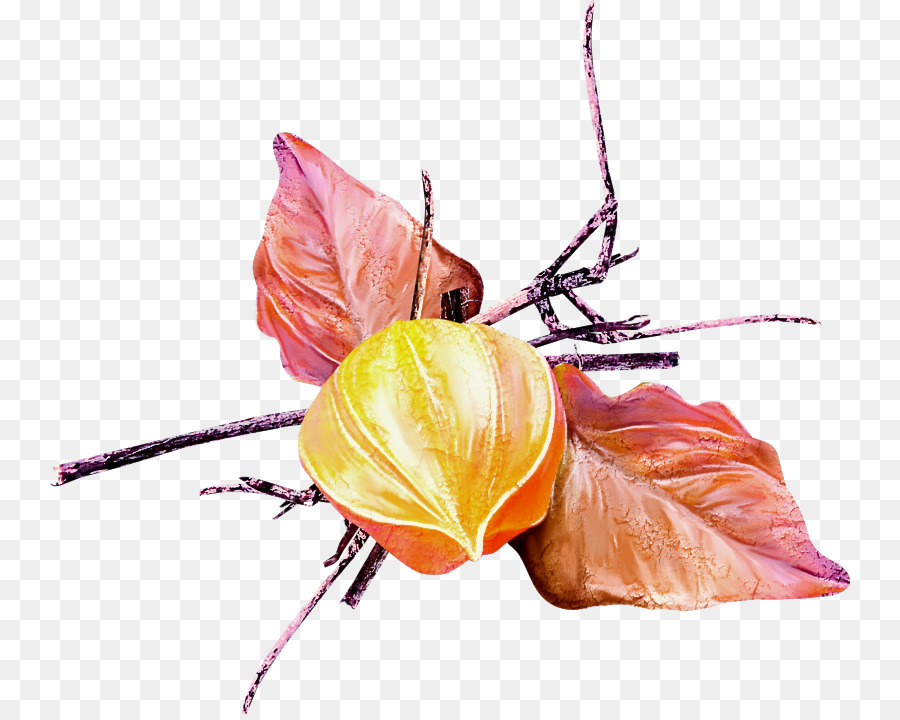 Fleur，Feuille PNG