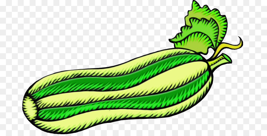 Vert，Feuille PNG