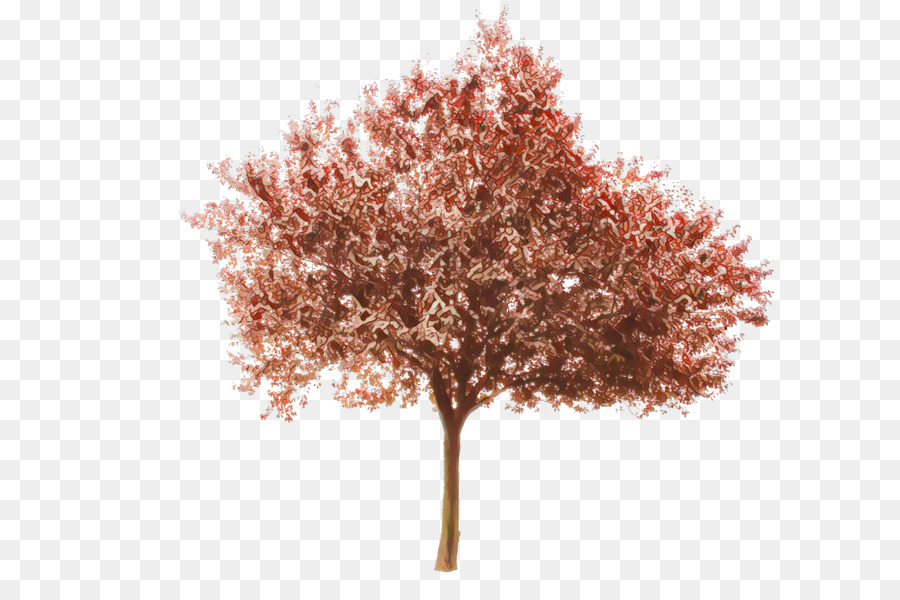 Arbre Rouge，Feuilles PNG