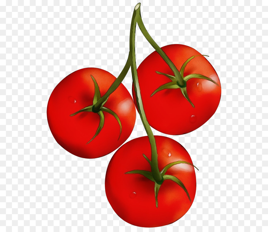 Tomates，Rouge PNG