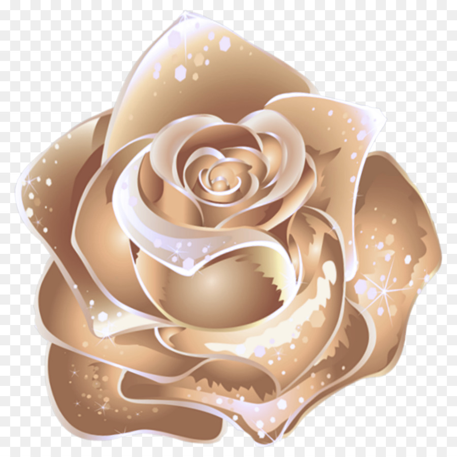 Rose，Orange PNG