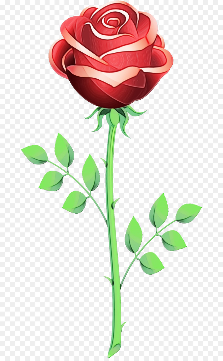 Rose，Rouge PNG