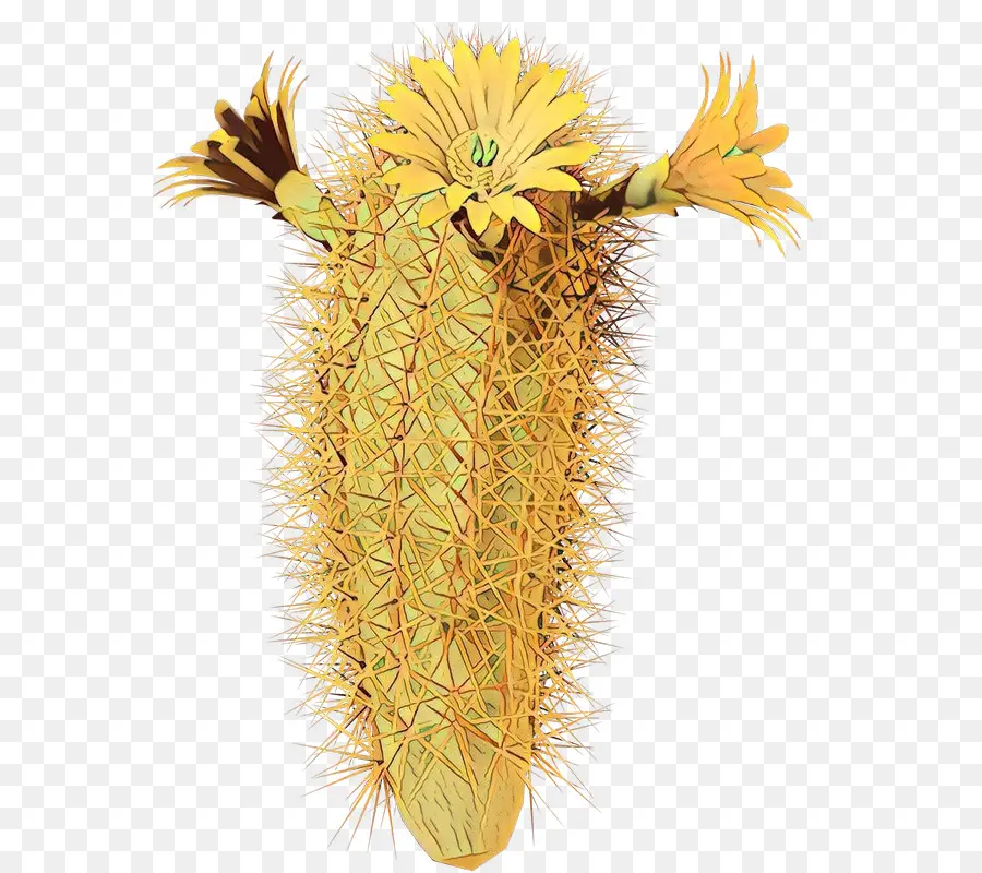 Cactus，Fleur PNG