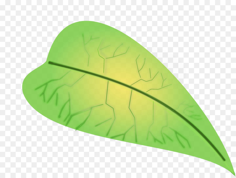 Feuille Verte，Nature PNG