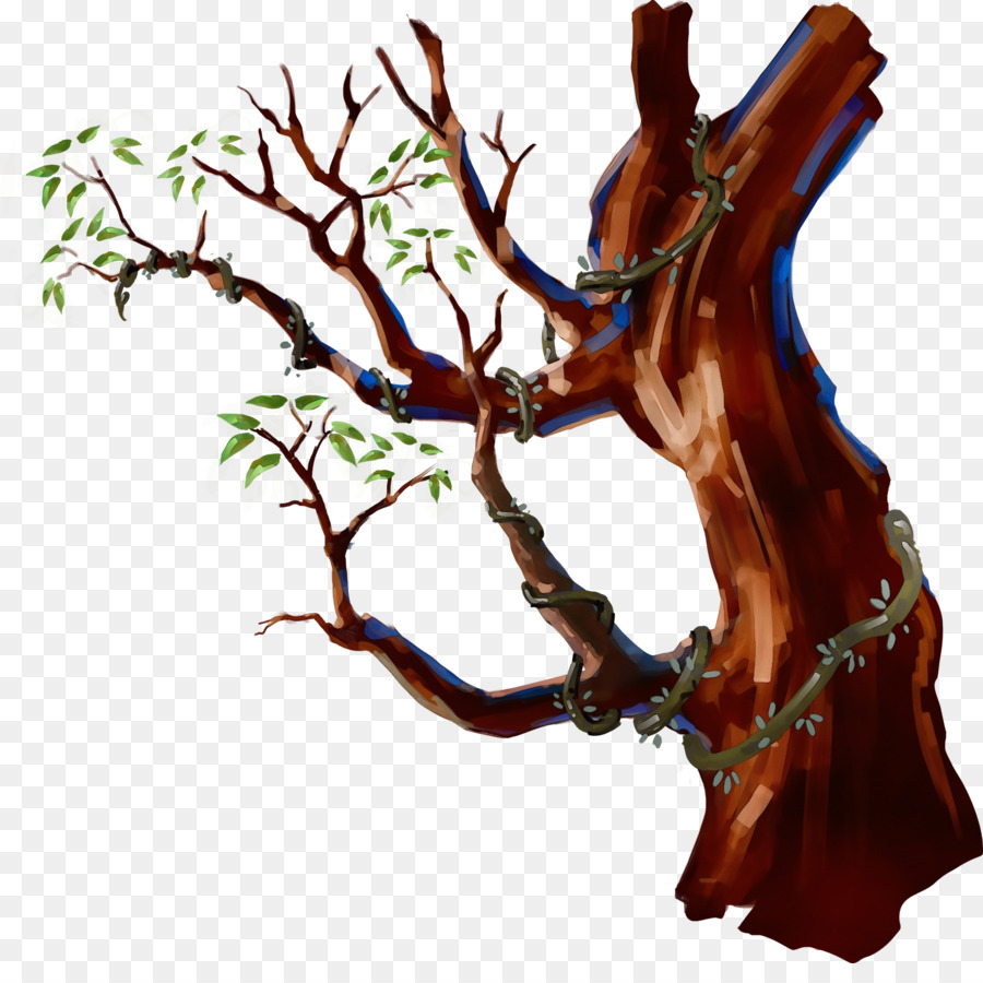 Branche，Arbre PNG